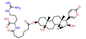 3-(N-Pimeloyl argininyl)-desacetylcinobufotalin